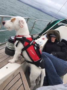 Sir Scrumpington the third of Winterfell!