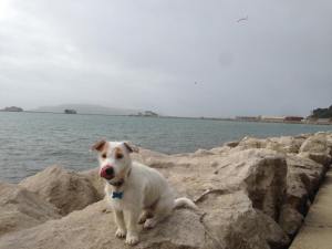 11824206_10153031241605823_107891373_n