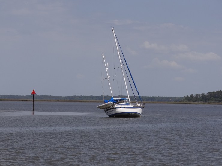 Wandering Star, wandered too far